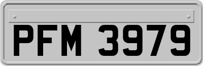 PFM3979