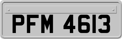 PFM4613