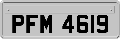 PFM4619