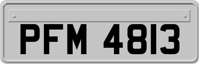 PFM4813