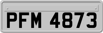 PFM4873