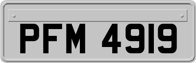 PFM4919