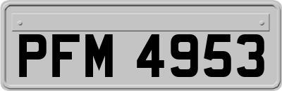PFM4953