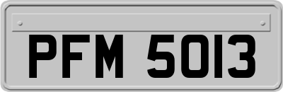PFM5013