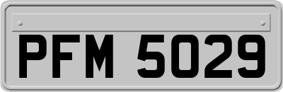 PFM5029
