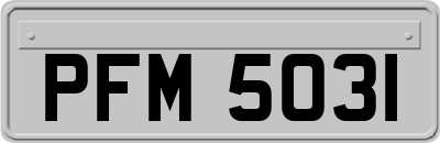 PFM5031