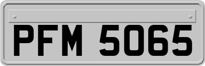 PFM5065