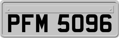 PFM5096