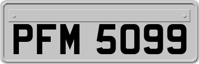 PFM5099