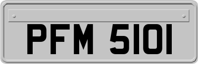 PFM5101