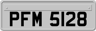 PFM5128