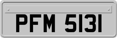 PFM5131