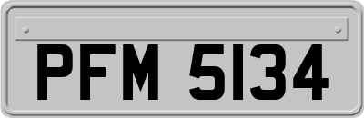 PFM5134