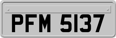 PFM5137