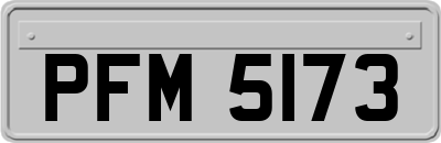 PFM5173