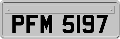 PFM5197