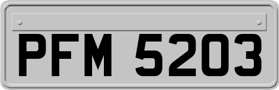 PFM5203