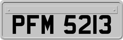 PFM5213