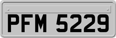 PFM5229