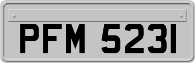 PFM5231
