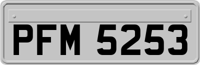 PFM5253