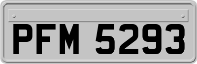 PFM5293