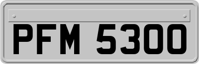 PFM5300