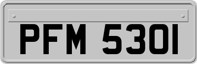 PFM5301