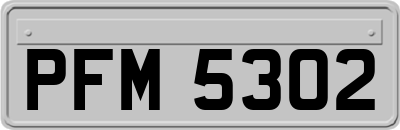 PFM5302