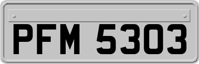 PFM5303