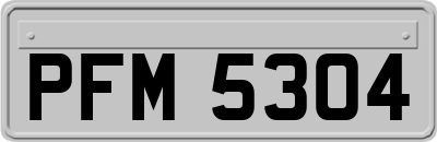 PFM5304