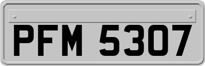 PFM5307