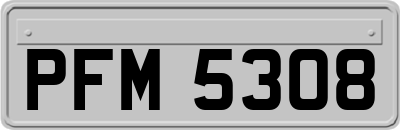 PFM5308