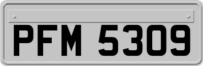 PFM5309