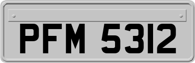PFM5312