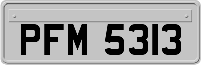 PFM5313