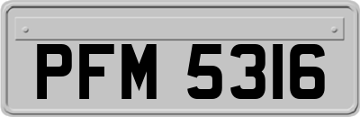 PFM5316