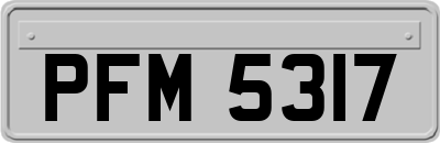 PFM5317