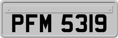 PFM5319