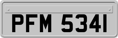 PFM5341