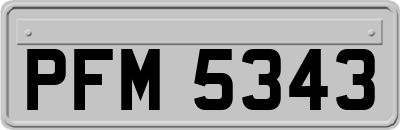 PFM5343