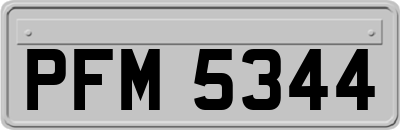 PFM5344