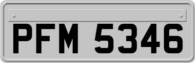 PFM5346