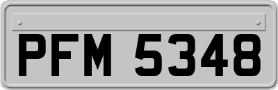 PFM5348