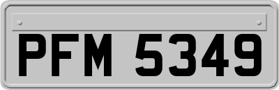 PFM5349