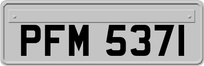 PFM5371