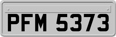 PFM5373