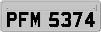 PFM5374