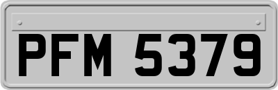 PFM5379