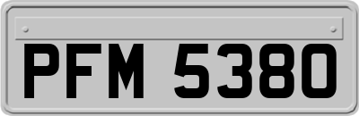 PFM5380